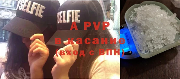 сатива Михайловка