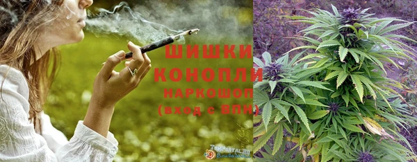 шишки Михайловск
