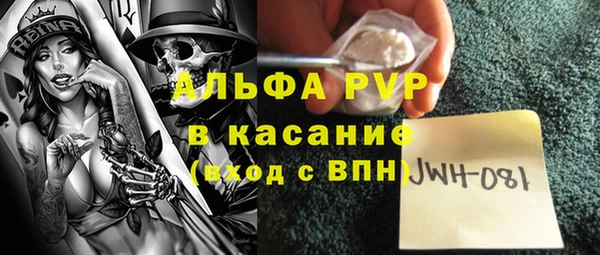шишки Михайловск