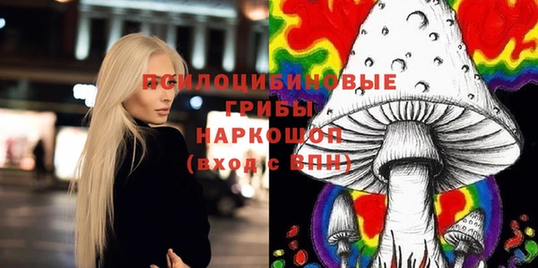 шишки Михайловск