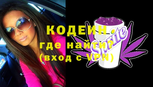 шишки Михайловск
